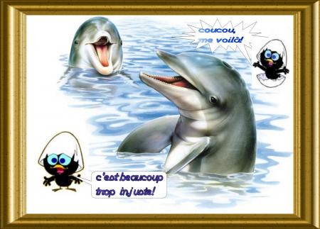 caliméro et les dauphins