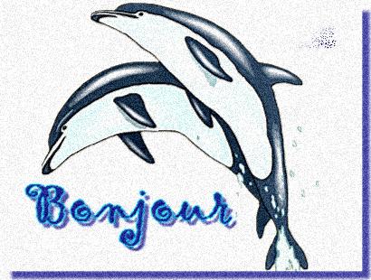 bjr a tous
